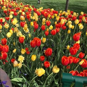 Meet your Posher, Judith